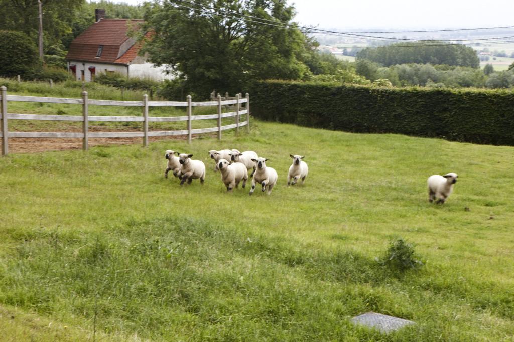 Vacation Home Landgoed De Monteberg Dranouter Pokoj fotografie